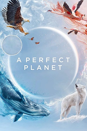  A perfect Planet (Season 1) Dual Audio [Hindi - English] Complete Web Series Esubs 720p [400MB]