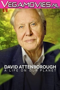  NetFlix David Attenborough: A Life on Our Planet (2020) English 480p [400MB] | 720p [800MB]