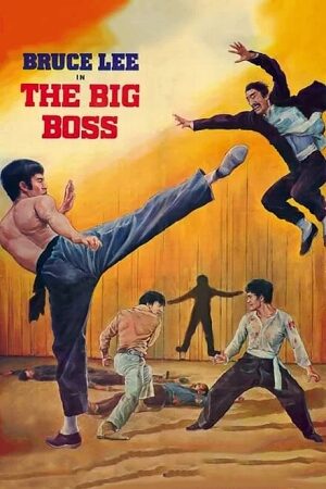  The Big Boss (1971) BluRay Dual Audio {Hindi-English} 480p [330MB] | 720p [800MB] | 1080p [2.2GB] Full-Movie