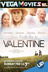  Love Finds You in Valentine (2016) Dual Audio {Hindi-English} 480p [300MB] | 720p [750MB]