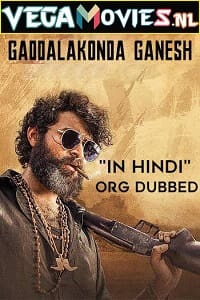  Gaddalakonda Ganesh (2019) WEB-DL [Hindi Dubbed] Full Movie 480p [550MB] | 720p [950MB] | 1080p [2.4GB]